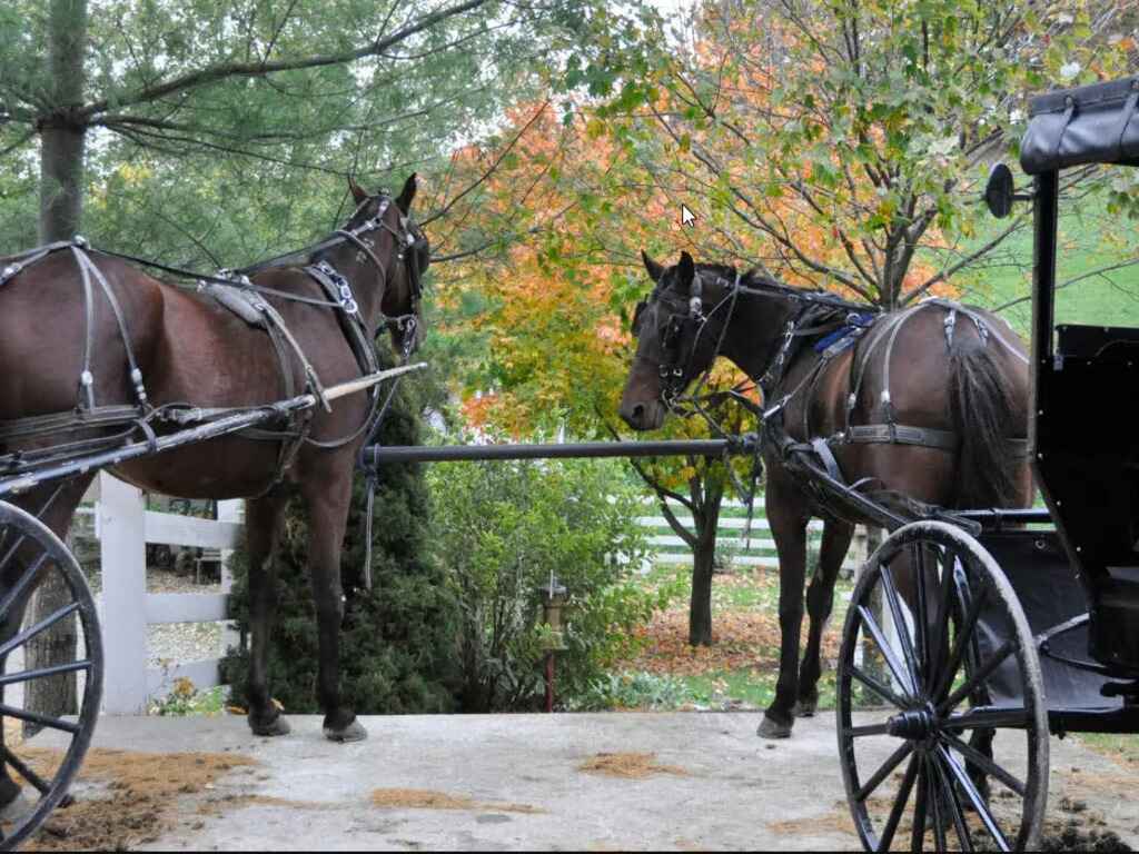 Visit Amish Country