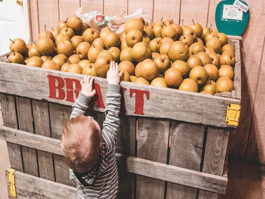 Mmmm… Apple Cider at Brant’s Apple Orchard!