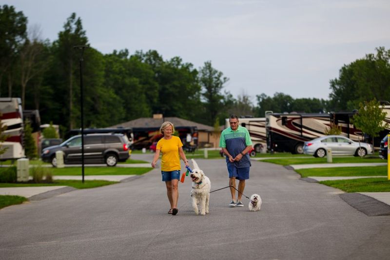 Dog Friendly Activities Near MotorCoach Resort Lake Erie Shores