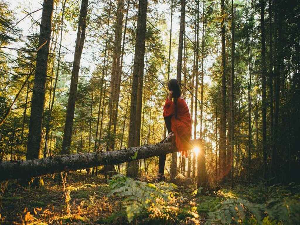Explore Beautiful Hogback Ridge Park