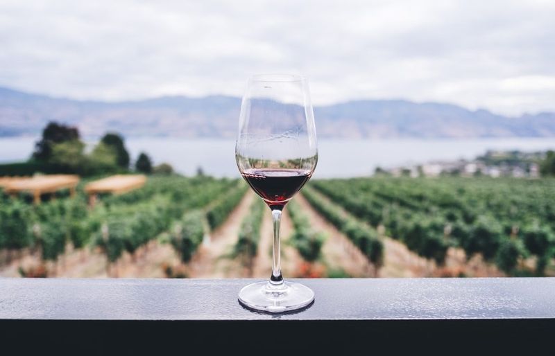 Visit Over 23 Wineries In Ohio’s Wine Region